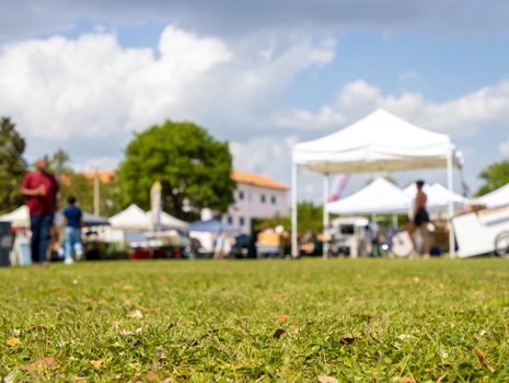 Madison Vegan Fest-- Lake Monona