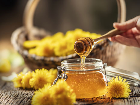 Tupelo Honey Festival -- Wewahitchka