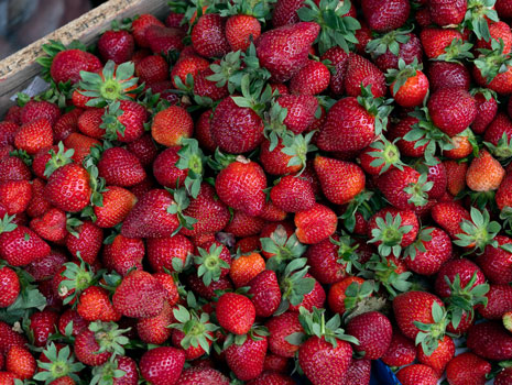 Cottage Grove Strawberry Fest -- Cottage Grove