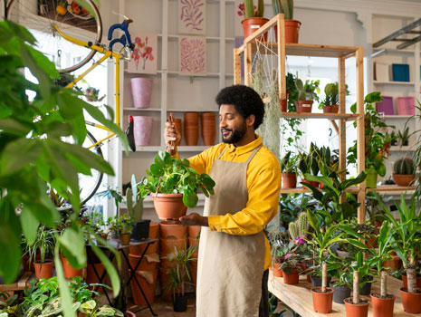 Friends School Plant Sale -- Saint Paul