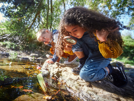 Wisconsin Science Festival-- Statewide